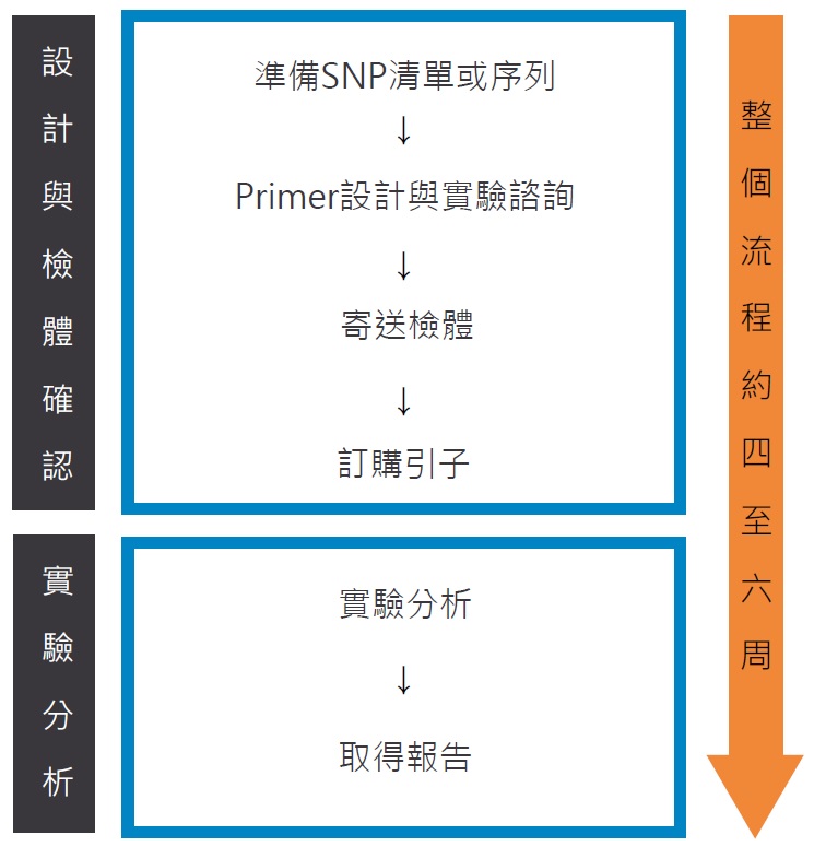 MassARRAY分析服務 | | 豐技生技