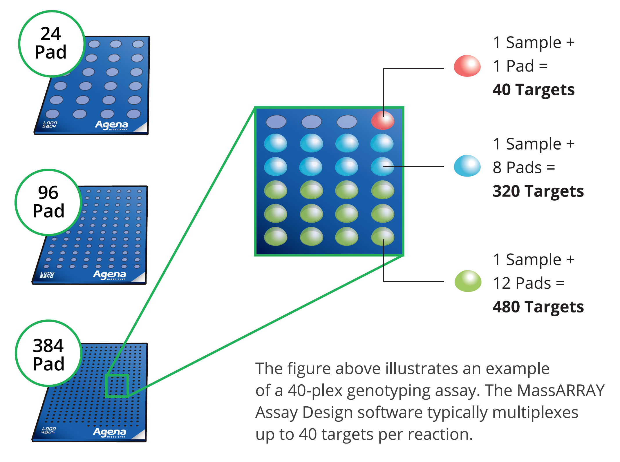 MassARRAY_sample