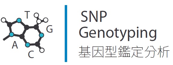 基因型鑑定分析