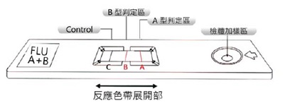 流感快篩-1